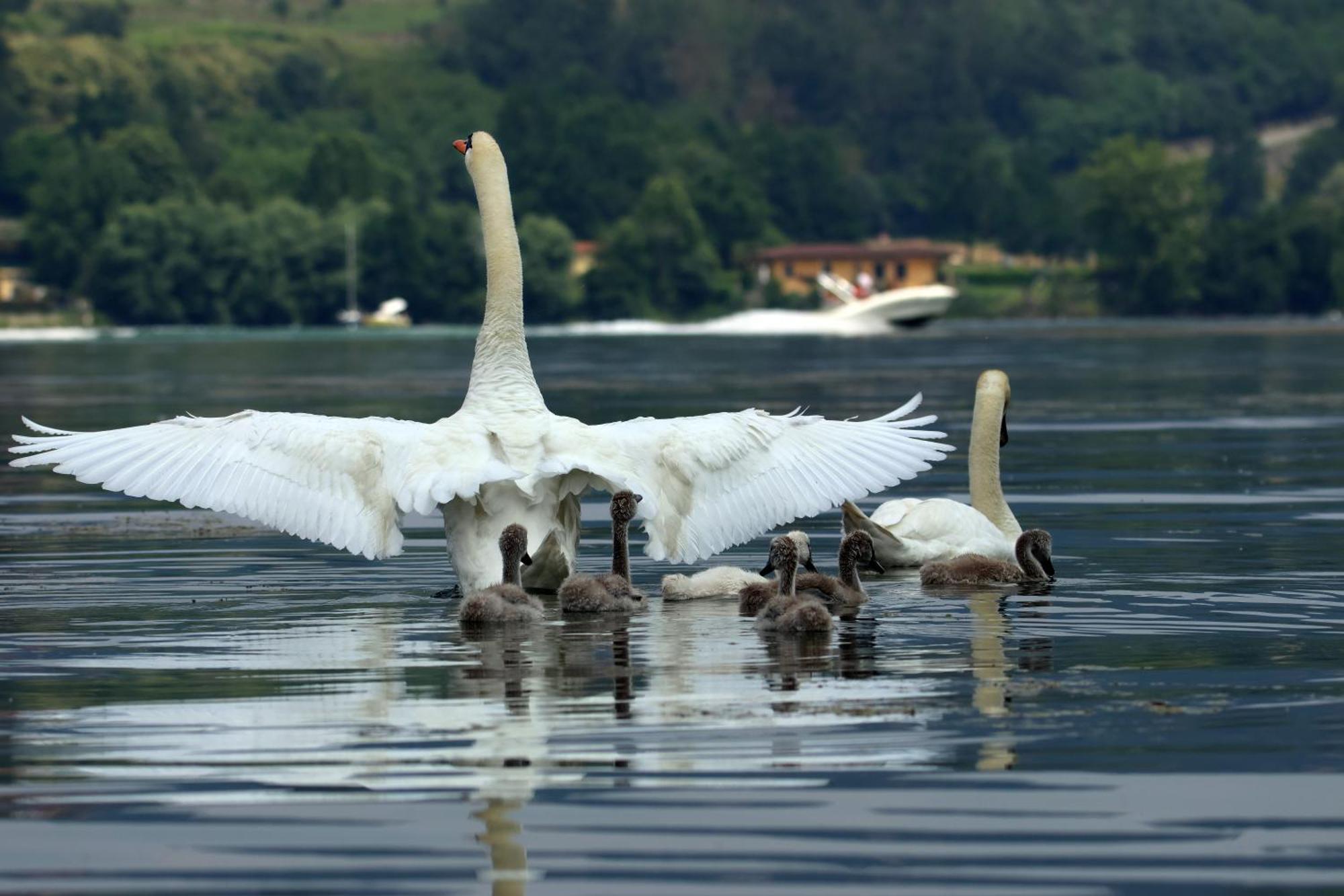 Campeggio Internazionale Del Sole วิเวโรเน ภายนอก รูปภาพ